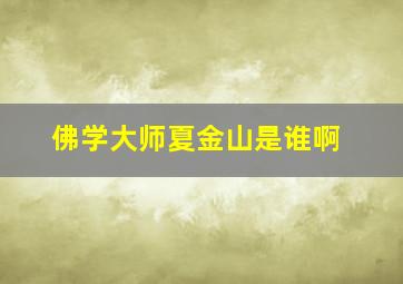 佛学大师夏金山是谁啊