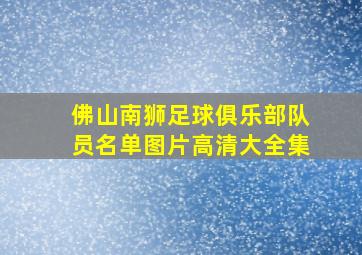 佛山南狮足球俱乐部队员名单图片高清大全集