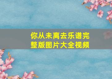 你从未离去乐谱完整版图片大全视频