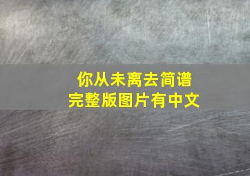 你从未离去简谱完整版图片有中文