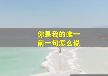 你是我的唯一前一句怎么说