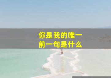 你是我的唯一前一句是什么