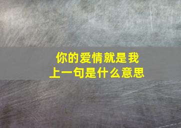 你的爱情就是我上一句是什么意思