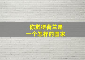 你觉得荷兰是一个怎样的国家