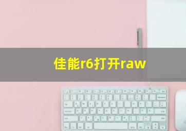 佳能r6打开raw