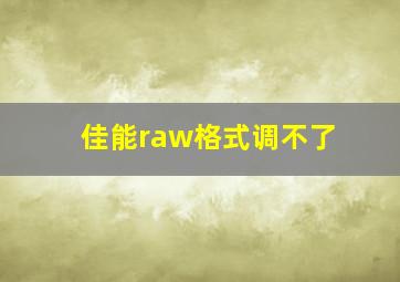 佳能raw格式调不了