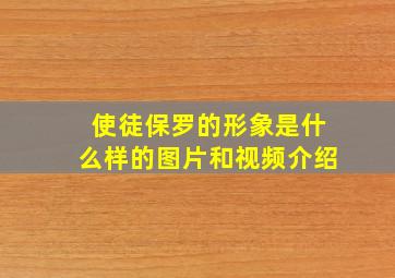 使徒保罗的形象是什么样的图片和视频介绍