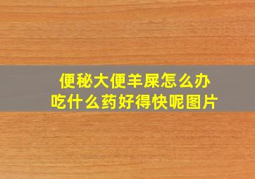 便秘大便羊屎怎么办吃什么药好得快呢图片