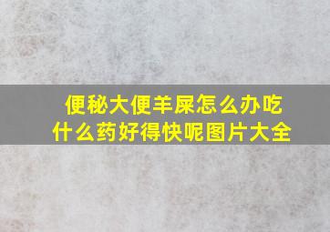 便秘大便羊屎怎么办吃什么药好得快呢图片大全