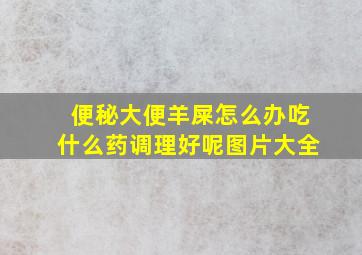 便秘大便羊屎怎么办吃什么药调理好呢图片大全