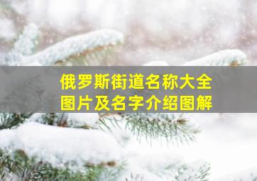 俄罗斯街道名称大全图片及名字介绍图解