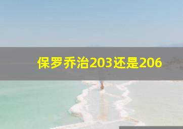 保罗乔治203还是206