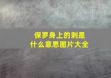 保罗身上的刺是什么意思图片大全