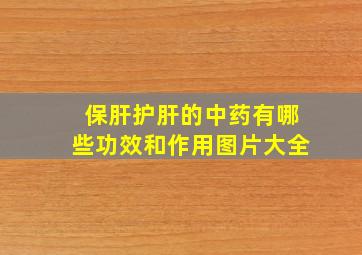 保肝护肝的中药有哪些功效和作用图片大全