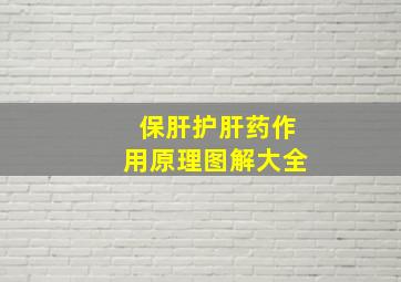 保肝护肝药作用原理图解大全