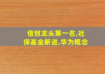 信创龙头第一名,社保基金新进,华为概念