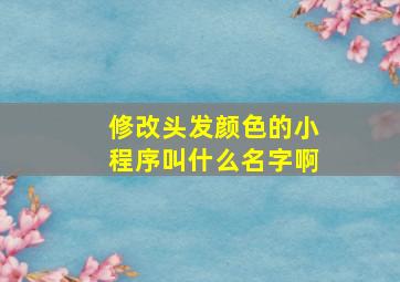 修改头发颜色的小程序叫什么名字啊