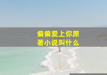 偏偏爱上你原著小说叫什么