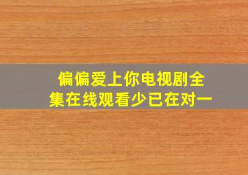 偏偏爱上你电视剧全集在线观看少已在对一