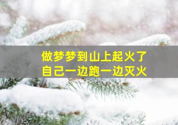 做梦梦到山上起火了自己一边跑一边灭火