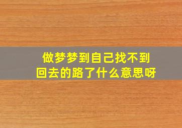 做梦梦到自己找不到回去的路了什么意思呀