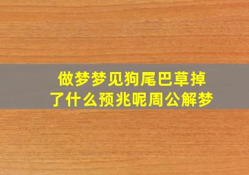 做梦梦见狗尾巴草掉了什么预兆呢周公解梦