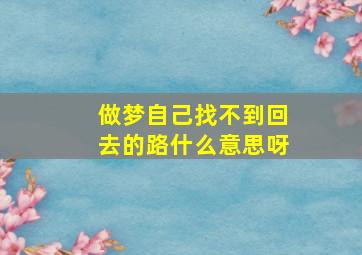 做梦自己找不到回去的路什么意思呀