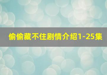 偷偷藏不住剧情介绍1-25集