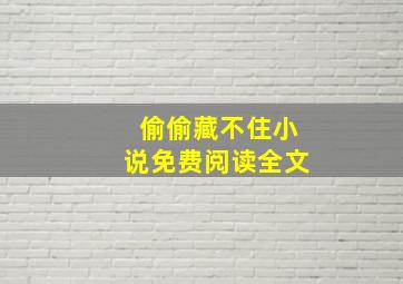 偷偷藏不住小说免费阅读全文