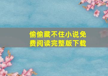 偷偷藏不住小说免费阅读完整版下载