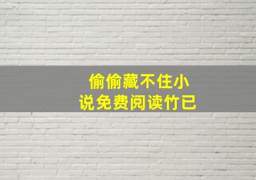 偷偷藏不住小说免费阅读竹已