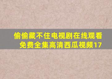 偷偷藏不住电视剧在线观看免费全集高清西瓜视频17