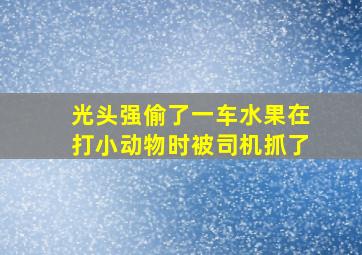 光头强偷了一车水果在打小动物时被司机抓了