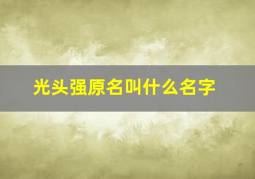 光头强原名叫什么名字