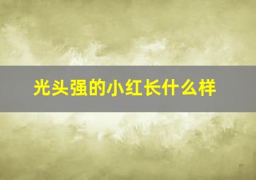 光头强的小红长什么样