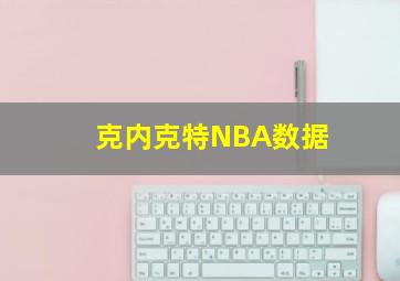 克内克特NBA数据