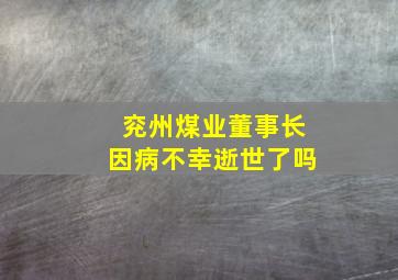 兖州煤业董事长因病不幸逝世了吗