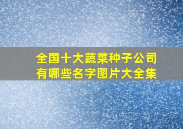 全国十大蔬菜种子公司有哪些名字图片大全集