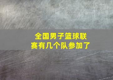 全国男子篮球联赛有几个队参加了