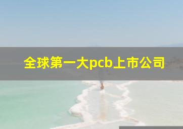 全球第一大pcb上市公司