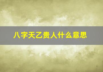 八字天乙贵人什么意思