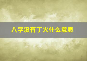 八字没有丁火什么意思