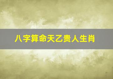 八字算命天乙贵人生肖