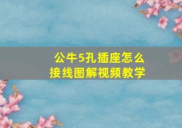 公牛5孔插座怎么接线图解视频教学