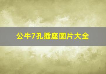 公牛7孔插座图片大全