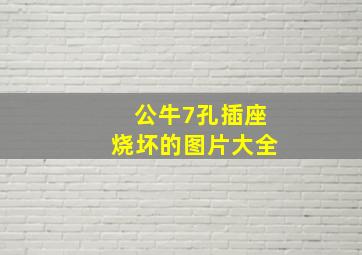 公牛7孔插座烧坏的图片大全