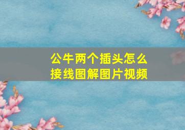 公牛两个插头怎么接线图解图片视频