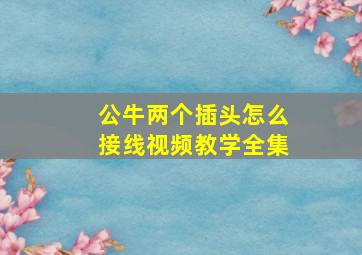 公牛两个插头怎么接线视频教学全集