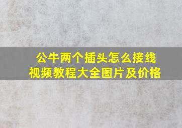 公牛两个插头怎么接线视频教程大全图片及价格