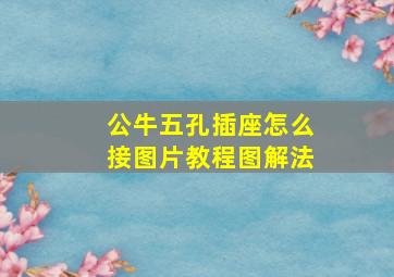 公牛五孔插座怎么接图片教程图解法